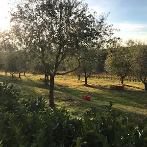  Holiday home Il Villino Italy